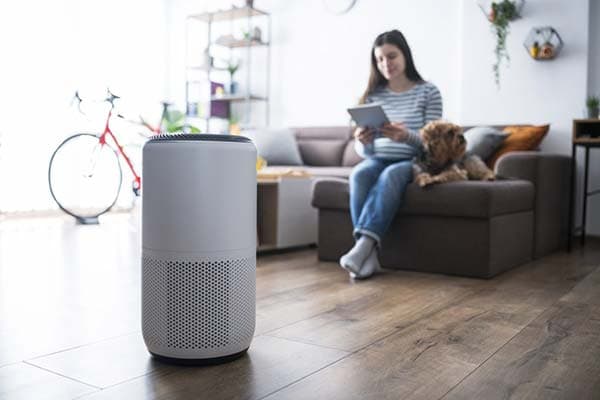 Comfortable home interior with clean indoor air